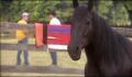 dr dolittle 3-avi_525.jpg